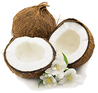 Organic Coconut Oil (Cocos Nucifera)